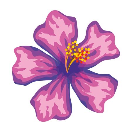 beautiful flower exotic tropical icon vector illustration designのイラスト素材