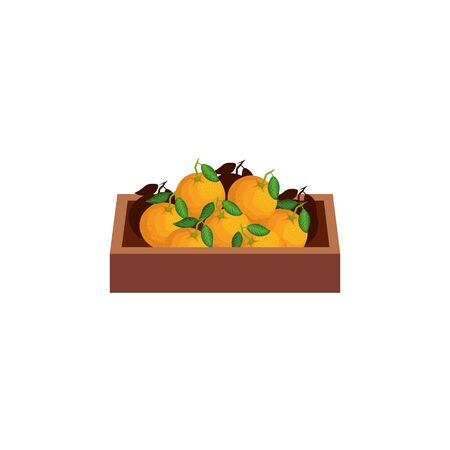 Shop wood box with products design, Store market shopping commerce retail buy and paying theme Vector illustrationのイラスト素材