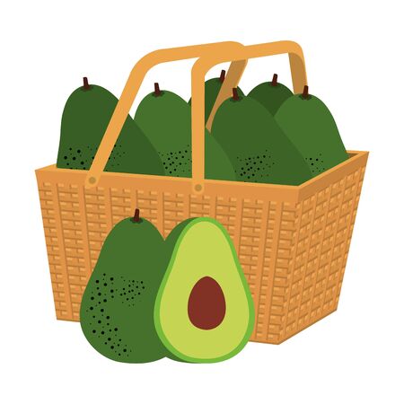fresh avocados vegetables in basket straw vector illustration designのイラスト素材