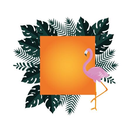 summer frame with tropical leafs and flemish vector illustration designのイラスト素材