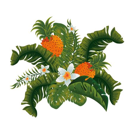 heliconia flower tropical plant with leafs and pineapple vector illustration designのイラスト素材