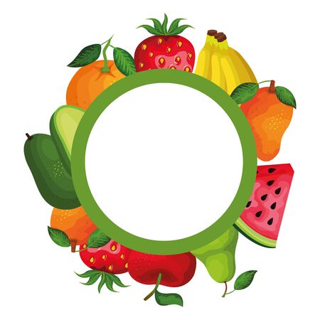 group of fresh fruits and vegetables circular frame vector illustration designのイラスト素材