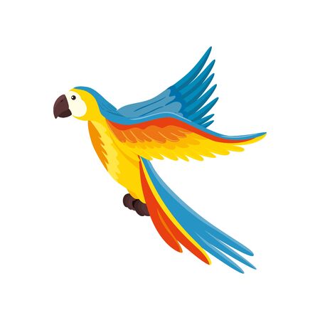 parrot animal exotic isolated icon vector illustration designのイラスト素材