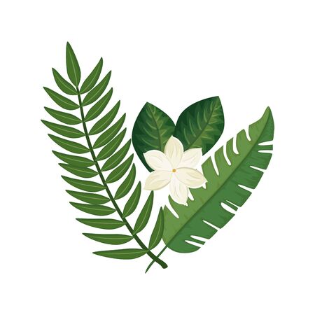 cute flower with branches and leafs isolated icon vector illustration designのイラスト素材