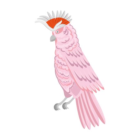 parrot pink animal exotic isolated icon vector illustration designのイラスト素材