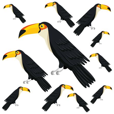 background of toucans animals exotic vector illustration designのイラスト素材