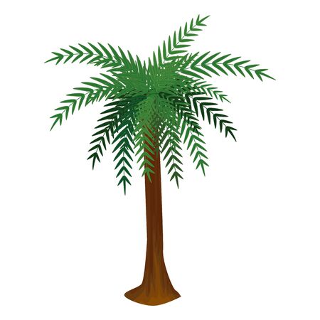 tree palm summer isolated icon vector illustration designのイラスト素材