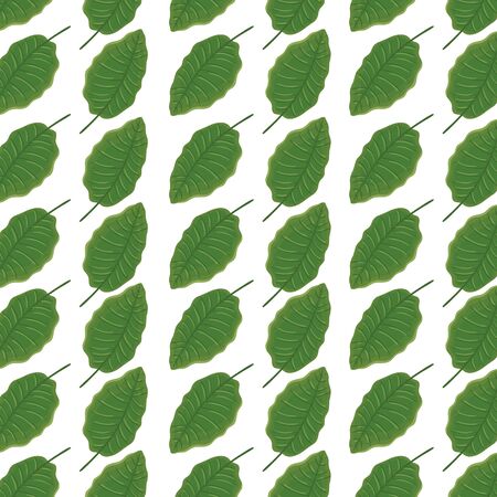background of leafs tropical natural vector illustration designのイラスト素材