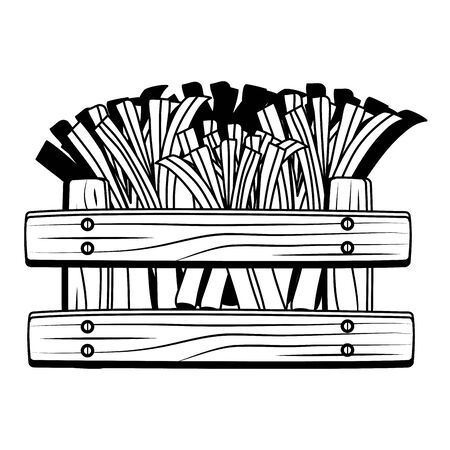 fresh branch onion vegetable in wooden box vector illustration designのイラスト素材