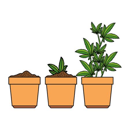 cannabis plants in pots group vector illustration designのイラスト素材
