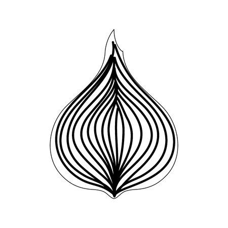 fresh onion vegetable nature icon vector illustration designのイラスト素材