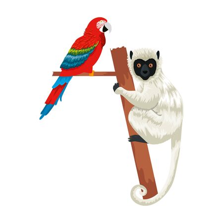 tropical capuchin monkey and parrot vector illustration designのイラスト素材