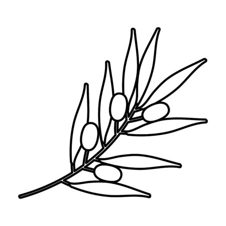 olive branch nature line style icon vector illustration designのイラスト素材