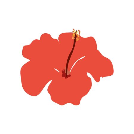flower natural of red color isolated icon vector illustration designのイラスト素材