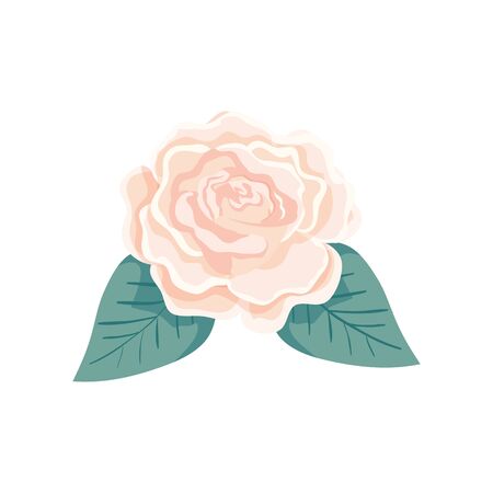 cute rose with leafs natural isolated icon illustration designのイラスト素材