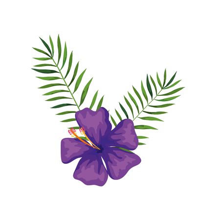 flower of purple color with branches and leafs vector illustration designのイラスト素材