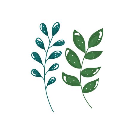 branches with leafs nature ecology isolated icon vector illustration designのイラスト素材