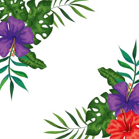 frame of flowers with branches and leaf nature vector illustration designのイラスト素材