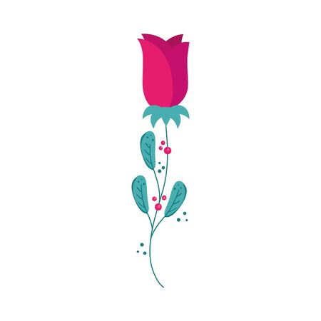 cute rose flower natural with leafs isolated icon vector illustration designのイラスト素材