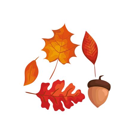 season autumn leafs with nut isolated icon vector illustration designのイラスト素材