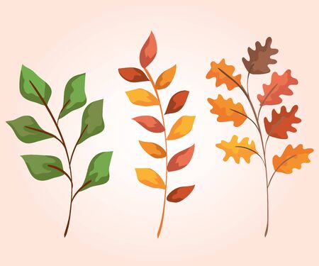 set of natural branches leaves plants over pink background, vector illustrationのイラスト素材