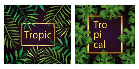 set of frames tropicals of branches with leaves vector illustration designのイラスト素材