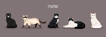 group of cute cats animals vector illustration designのイラスト素材