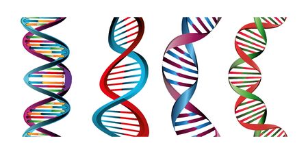 set of structures deoxyribonucleic acid vector illustration designのイラスト素材