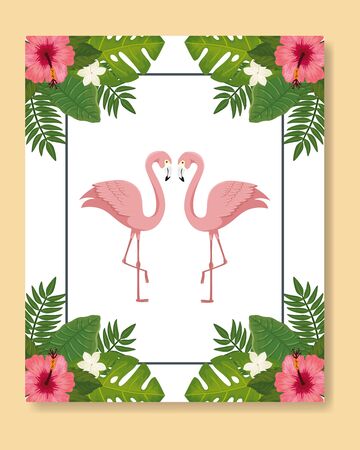 flamingos pink animals with leafs nature vector illustration designのイラスト素材
