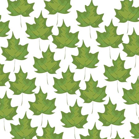 autumn dry maple leafs nature pattern vector illustration designのイラスト素材