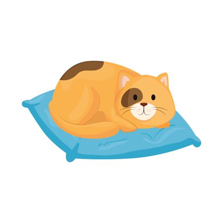cute little cat in cushion isolated icon vector illustration designのイラスト素材