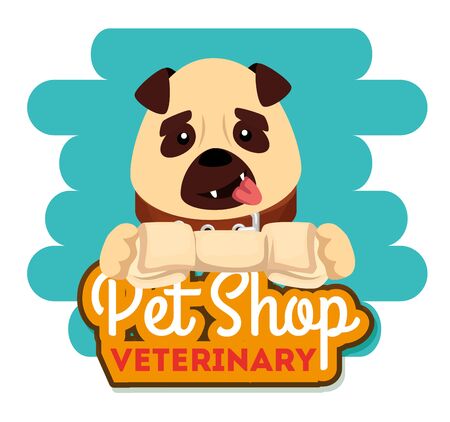 pet shop veterinary with little dog vector illustration designのイラスト素材