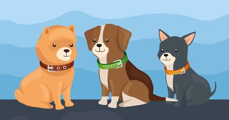 group of little dogs animals vector illustration designのイラスト素材