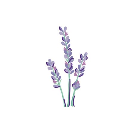 cute lavender flower nature isolated icon vector illustration designのイラスト素材