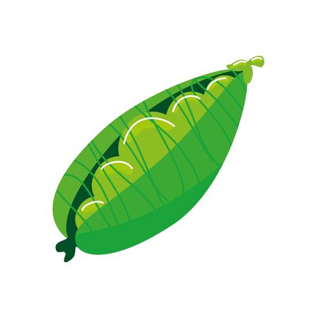 pod pea plant isolated icon vector illustration designのイラスト素材