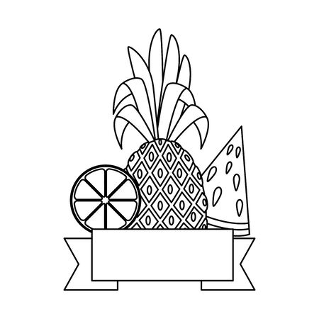 summer frame with tropical and fresh fruits vector illustration designのイラスト素材