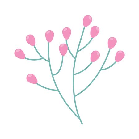 branches with seeds isolated icon vector illustration designのイラスト素材