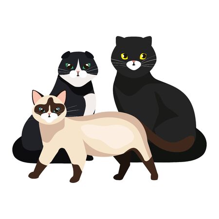 group of cute cats isolated icons vector illustration designのイラスト素材