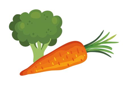 fresh carrot with broccoli vegetables vector illustration designのイラスト素材