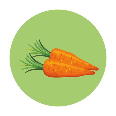 fresh carrots vegetables in frame circular vector illustration designのイラスト素材