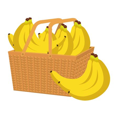 fresh bananas fruits in basket straw vector illustration designのイラスト素材