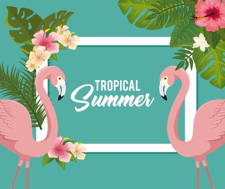 tropical summer poster with flamingos and flowers vector illustration designのイラスト素材