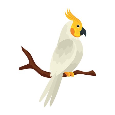 parrot bird in tree branch isolated icon vector illustration designのイラスト素材