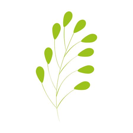 branch with leafs natural isolated icon vector illustration designのイラスト素材