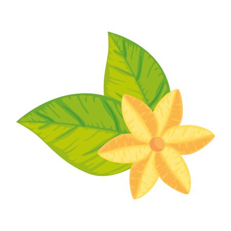 cute flower with leaves isolated icon vector illustration designのイラスト素材
