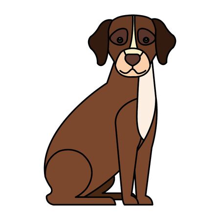brown dog with white spot isolated icon vector illustration designのイラスト素材