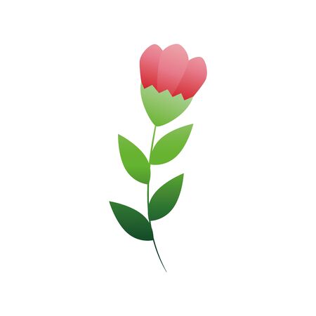 cute flower red branch and leafs isolated icon vector illustration designのイラスト素材