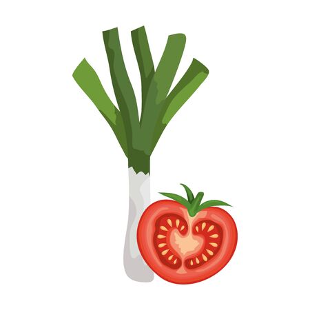 fresh tomato with leek vegetables vector illustration designのイラスト素材
