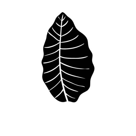 silhouette of leaf nature tropical isolated icon vector illustration designのイラスト素材