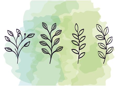 set of branches with leafs ecology vector illustration designのイラスト素材